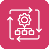 Automatiza La Importación